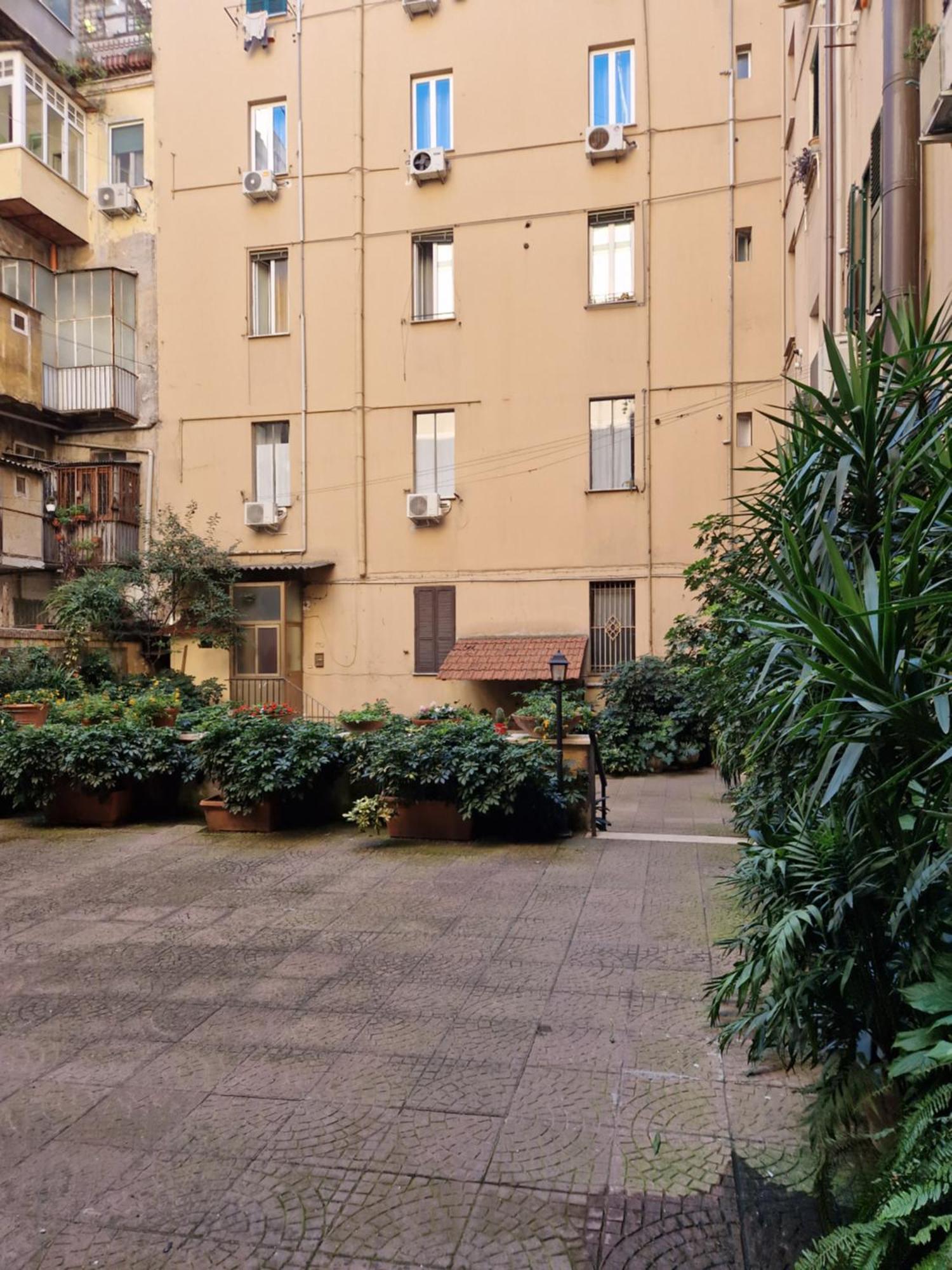 Pepe'S Place - Carlo Alberto — Photos 3